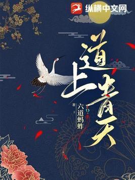 道上青天TXT全本